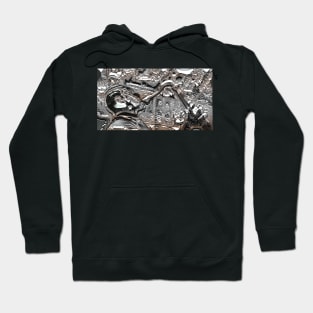 SILVER FOXXXX Hoodie